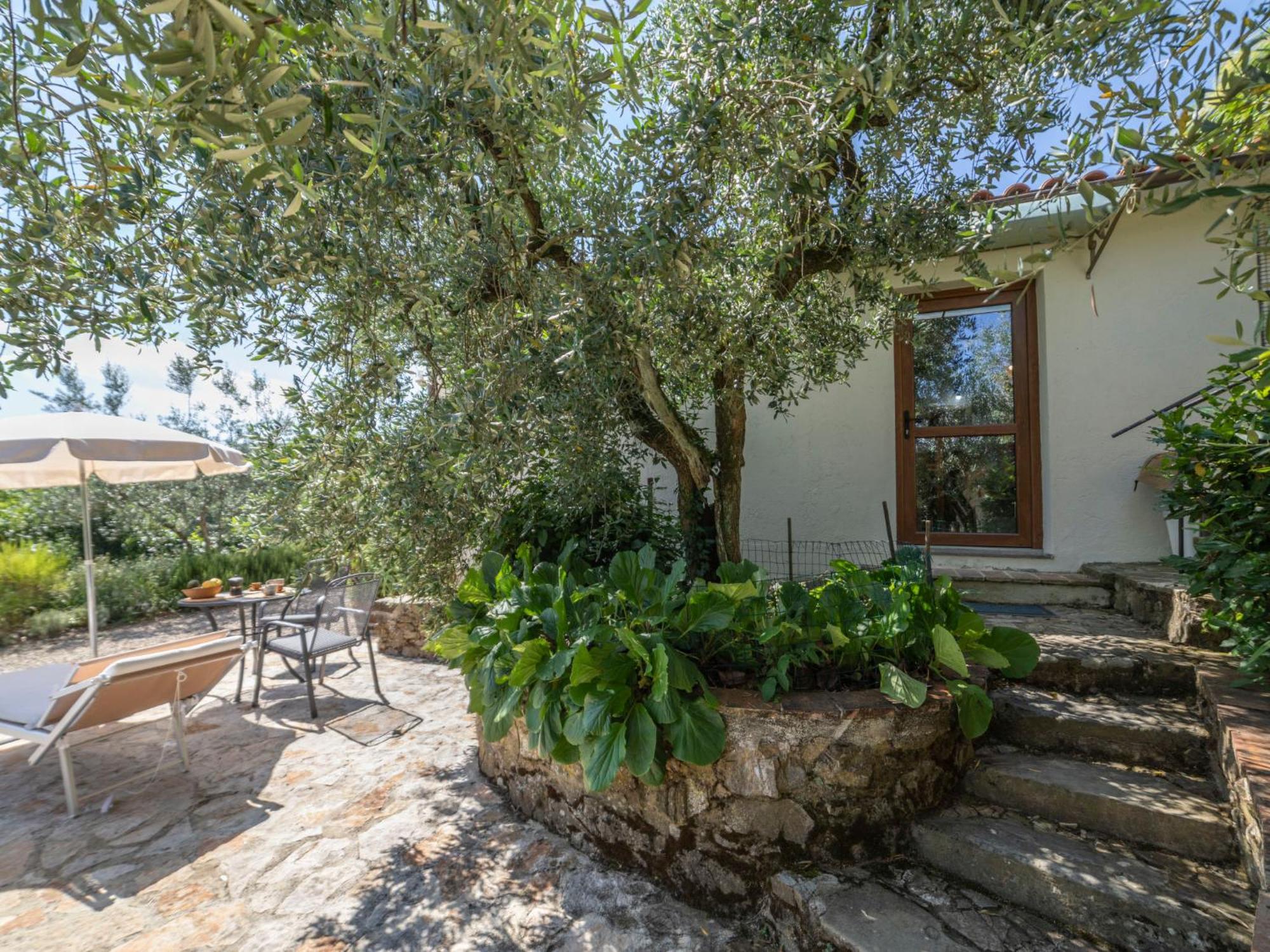 Holiday Home Olivo By Interhome Castellina in Chianti Exterior photo